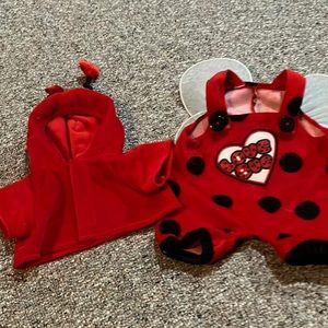 Used - Build A Bear “Love Bug” Ladybug Outfit